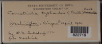 Image Associated With the Occurence